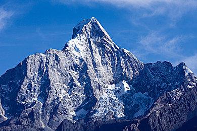 探索食物艺术《培养：玩耍食物》9月上市
